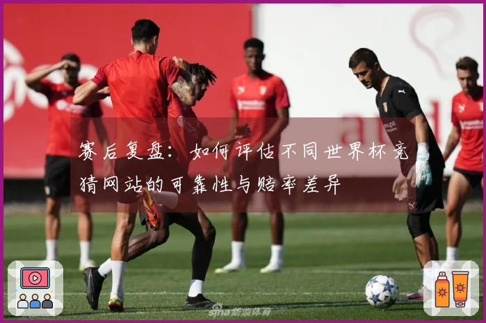 赛后复盘：如何评估不同世界杯竞猜网站的可靠性与赔率差异