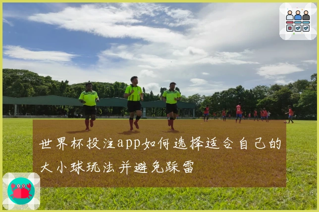 世界杯投注app如何选择适合自己的大小球玩法并避免踩雷